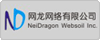 网龙网络