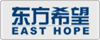 东方希望