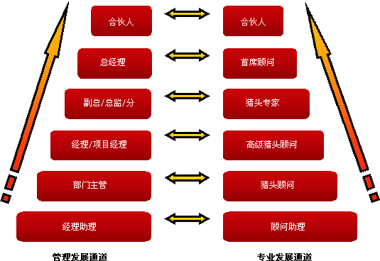 猎头公司员工发展通道